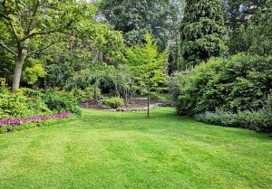 Optimiser l'expérience du jardin à La Chapelle-Bouexic
